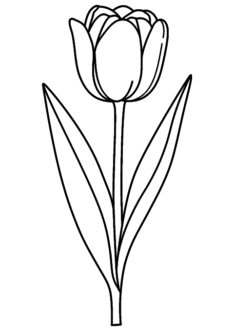 tulp bloem Coloring Page