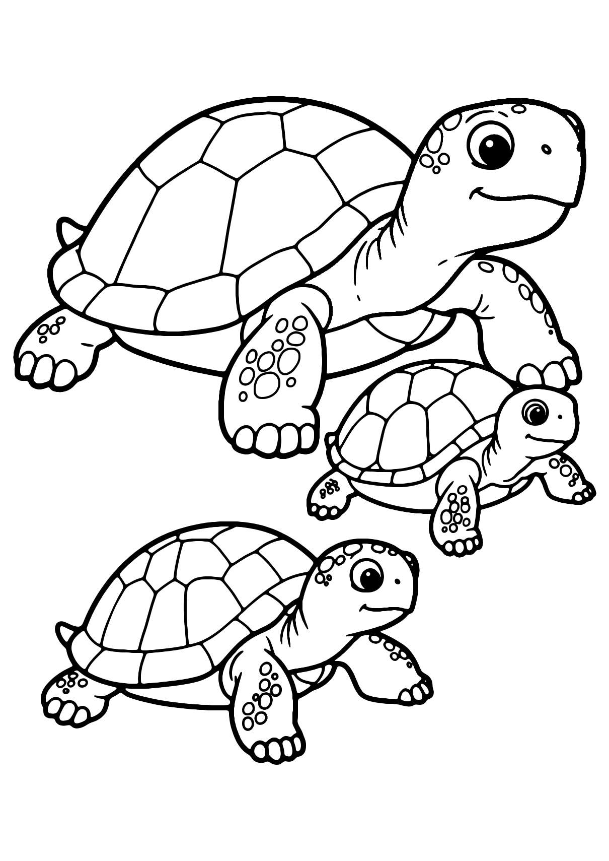 Coloriage Famille De Tortues