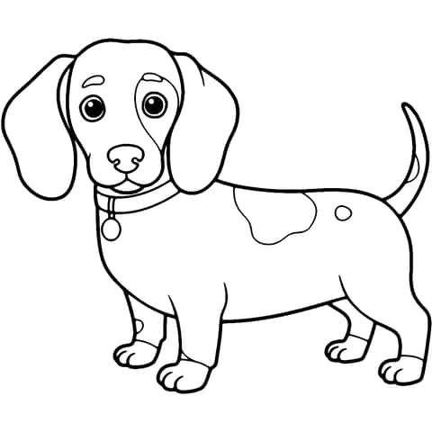 weiner dog Coloring Page