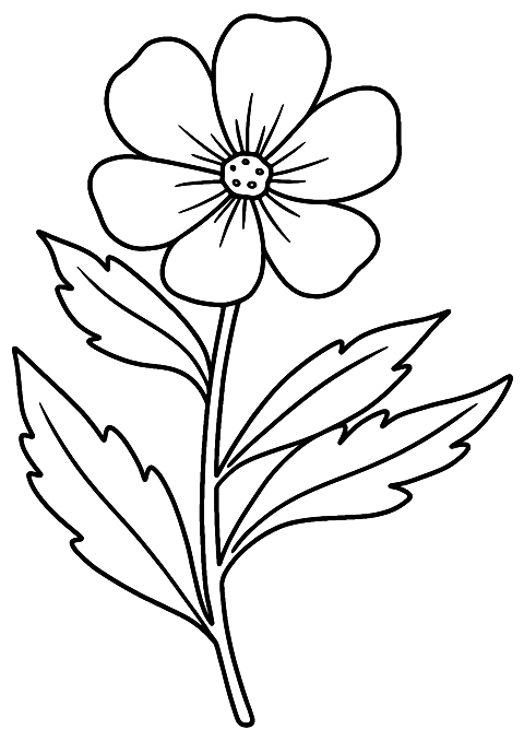 floare salbatica Coloring Page