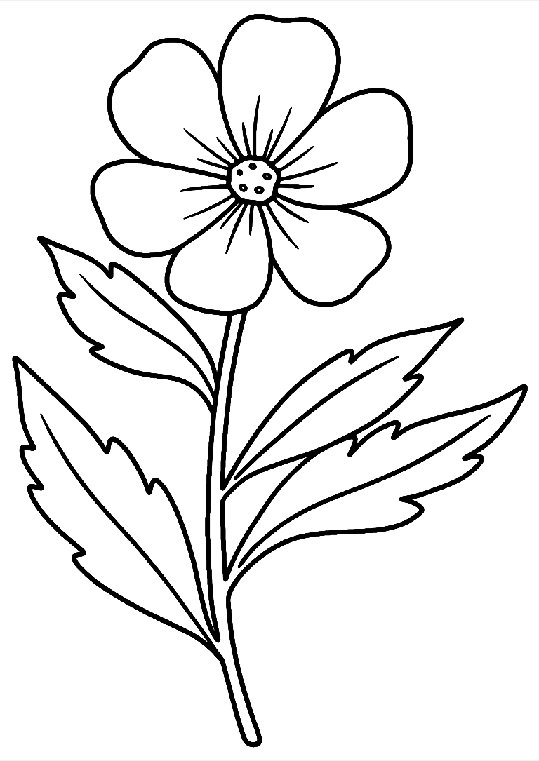 Desenho De Flor Silvestre Para Colorir