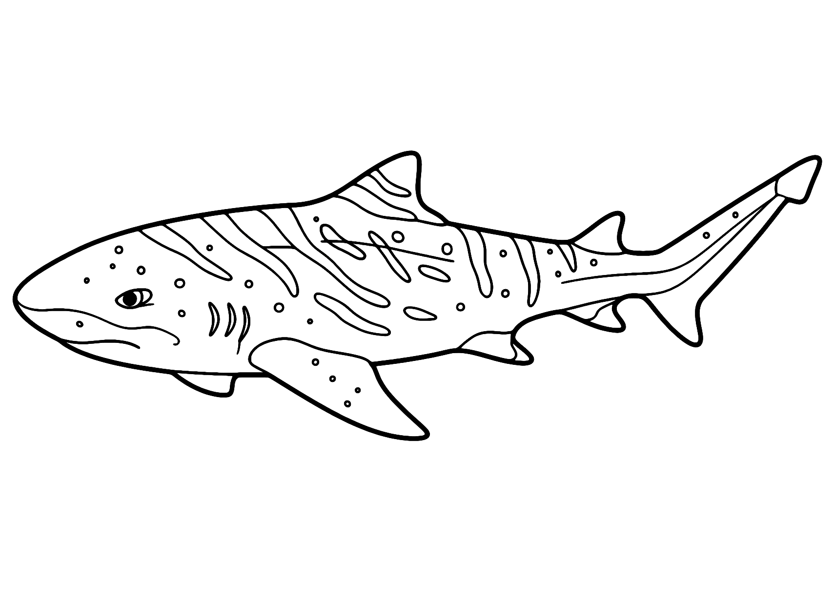 Coloriage Requin-zèbre