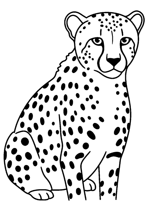 Gepard image_url