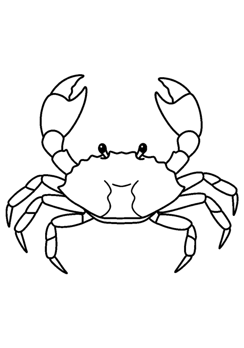 Crab theme