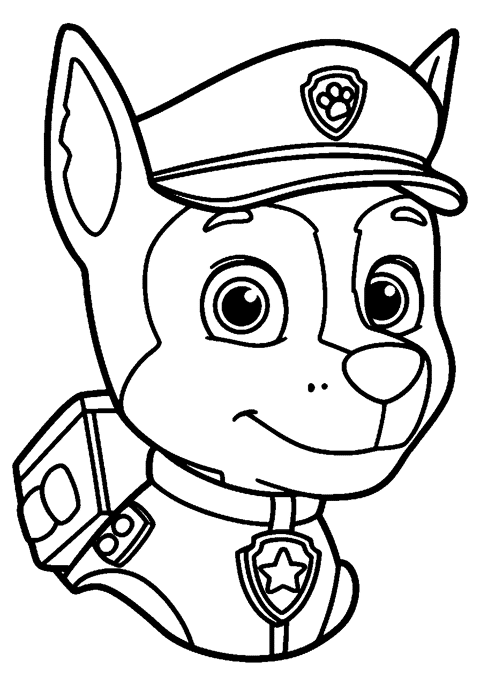 Paw Patrol image_url